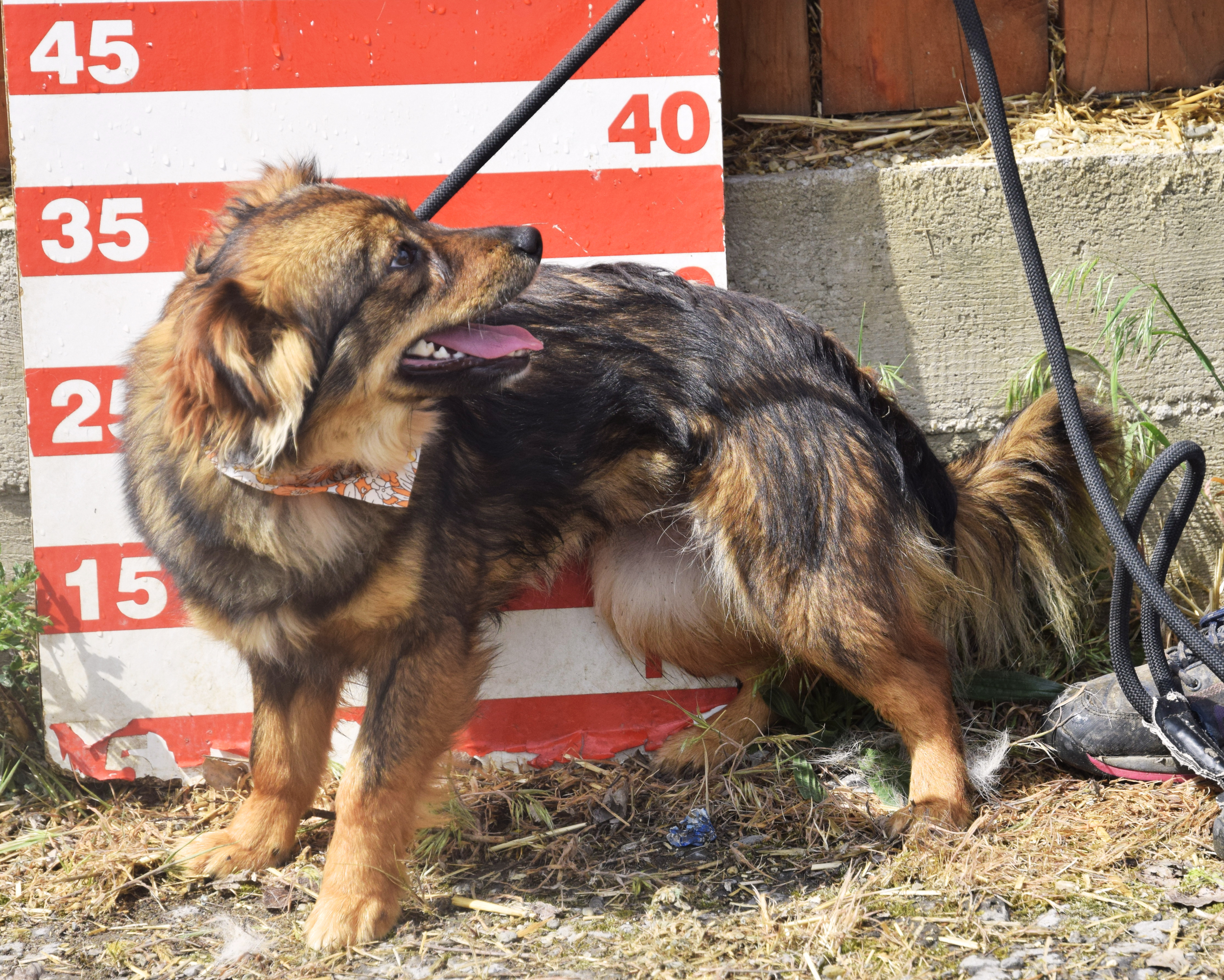 Vozzka – Obrázok 6