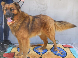 Filemon