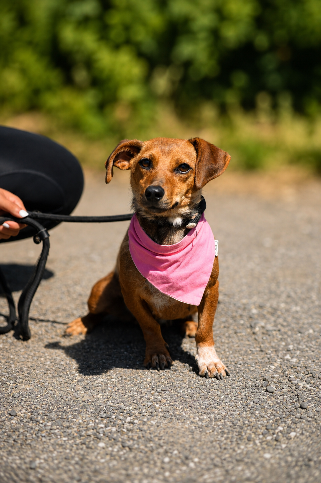 Delinka – Obrázok 2